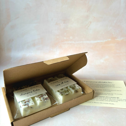 Aromatherapy Wax Melt Subscription Box